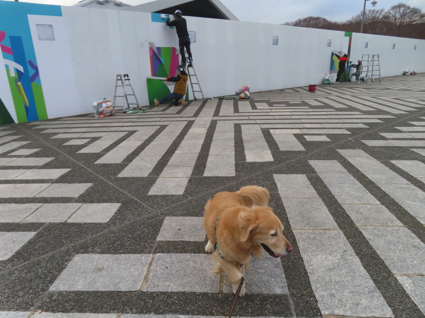 ファイル 8898-5.jpg