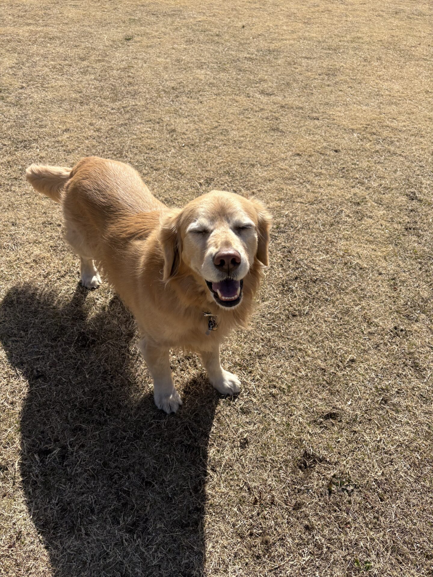 ファイル 8899-1.jpeg