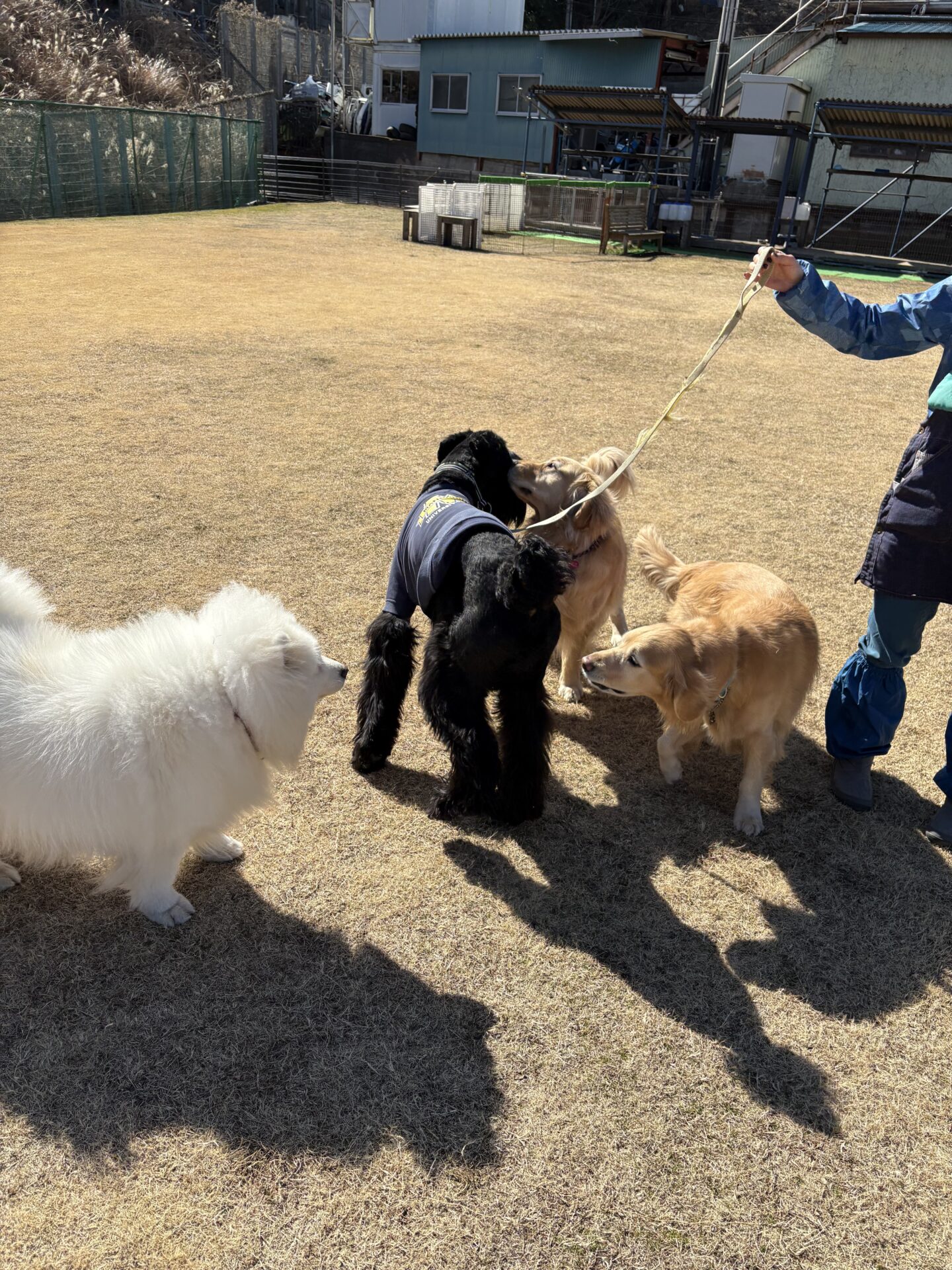 ファイル 8899-3.jpeg