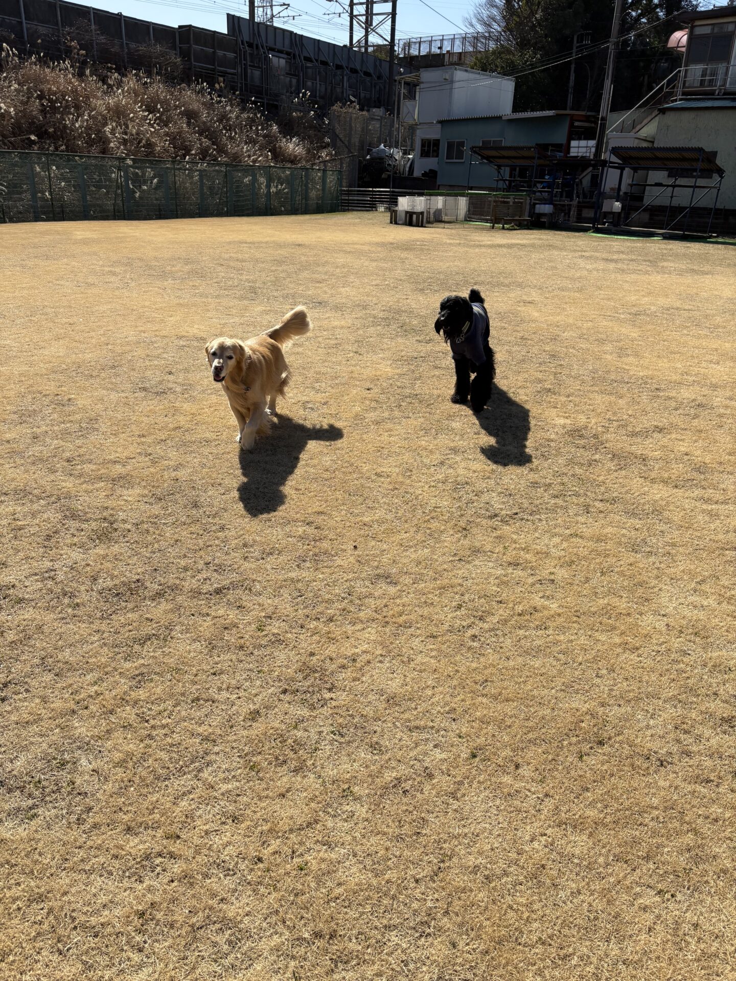 ファイル 8899-4.jpeg