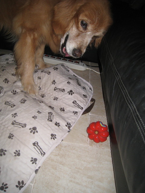 ファイル 890-2.jpg