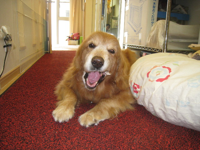 ファイル 890-5.jpg