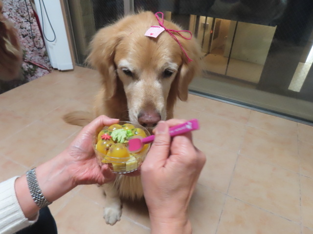 ファイル 8900-3.jpg