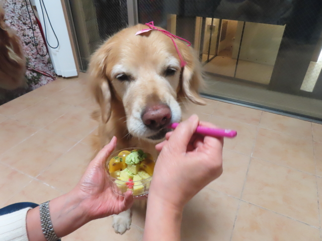 ファイル 8900-4.jpg