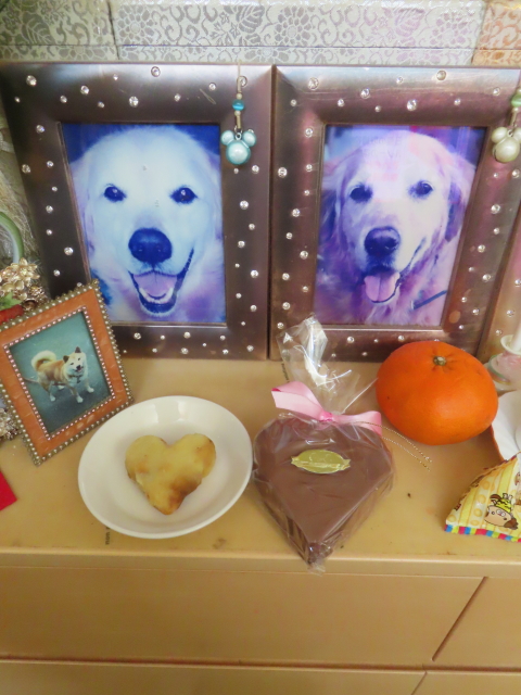 ファイル 8900-5.jpg