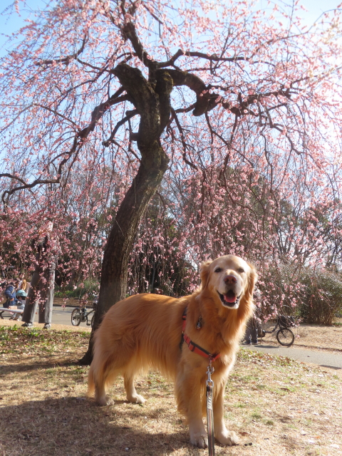 ファイル 8902-5.jpg