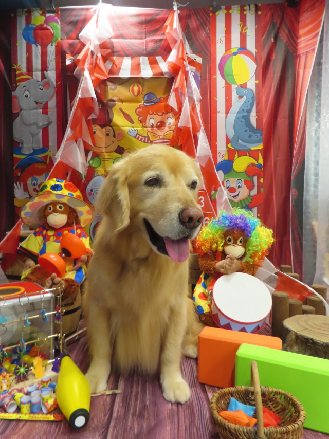 ファイル 8903-3.jpg