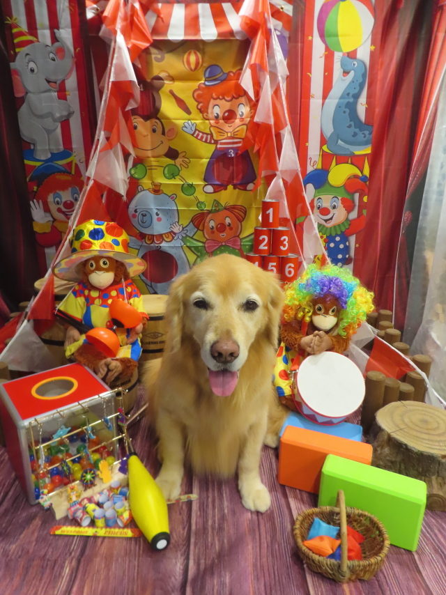 ファイル 8903-4.jpg