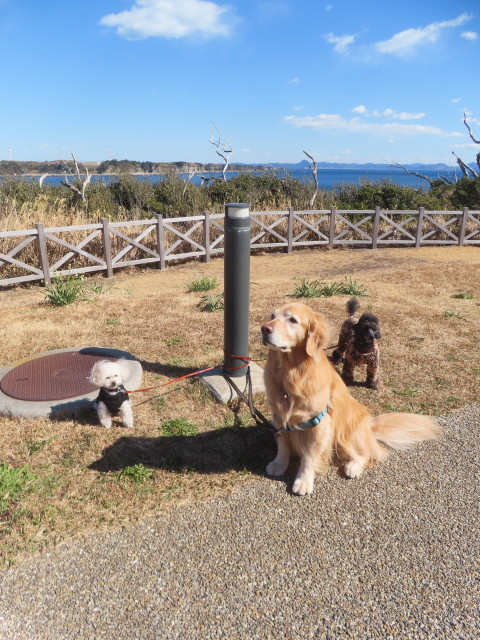 ファイル 8904-3.jpg