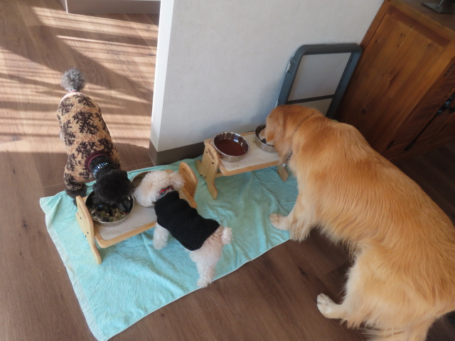 ファイル 8904-5.jpg