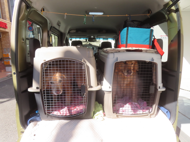 ファイル 8905-1.jpg