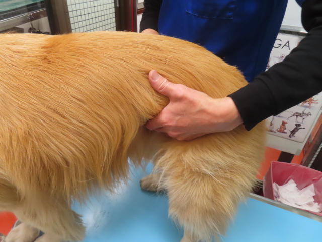 ファイル 8906-2.jpg