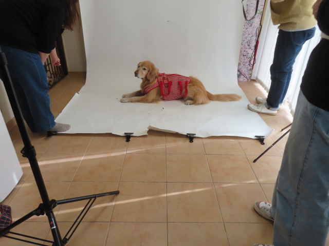 ファイル 8906-4.jpg