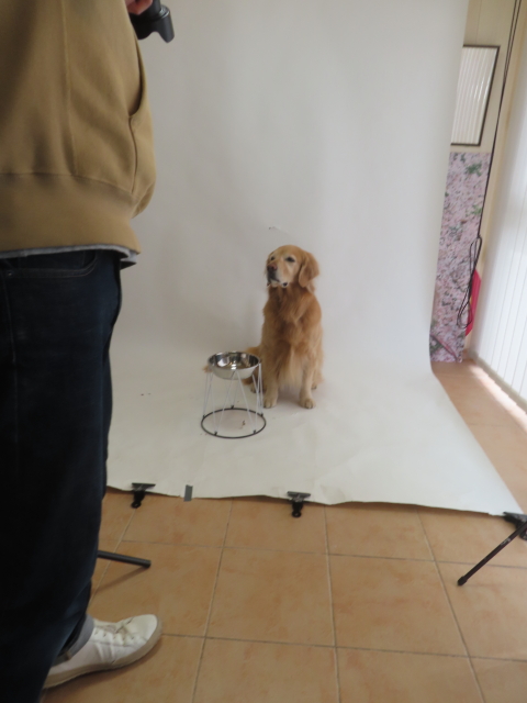 ファイル 8906-5.jpg