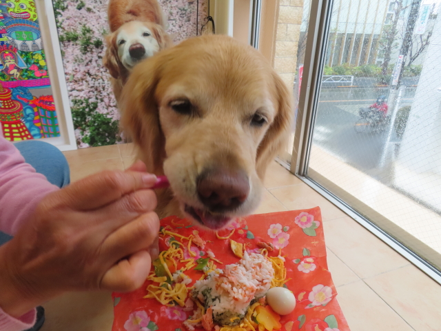 ファイル 8909-5.jpg