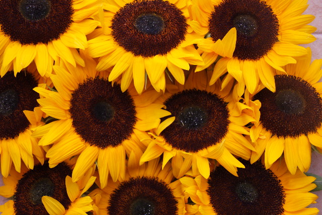 ファイル 891-3.jpg