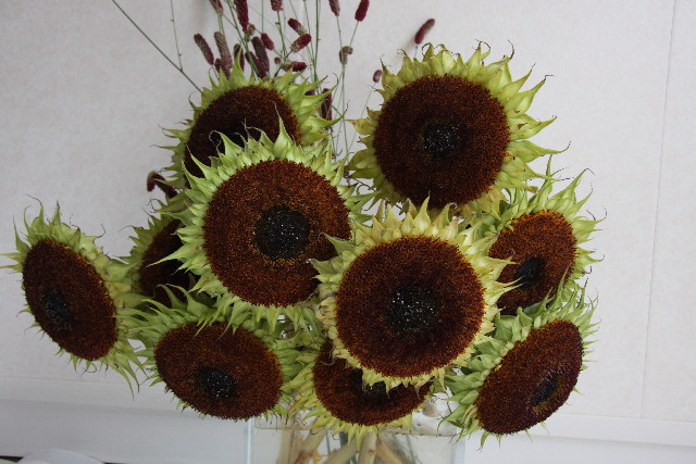 ファイル 891-4.jpg