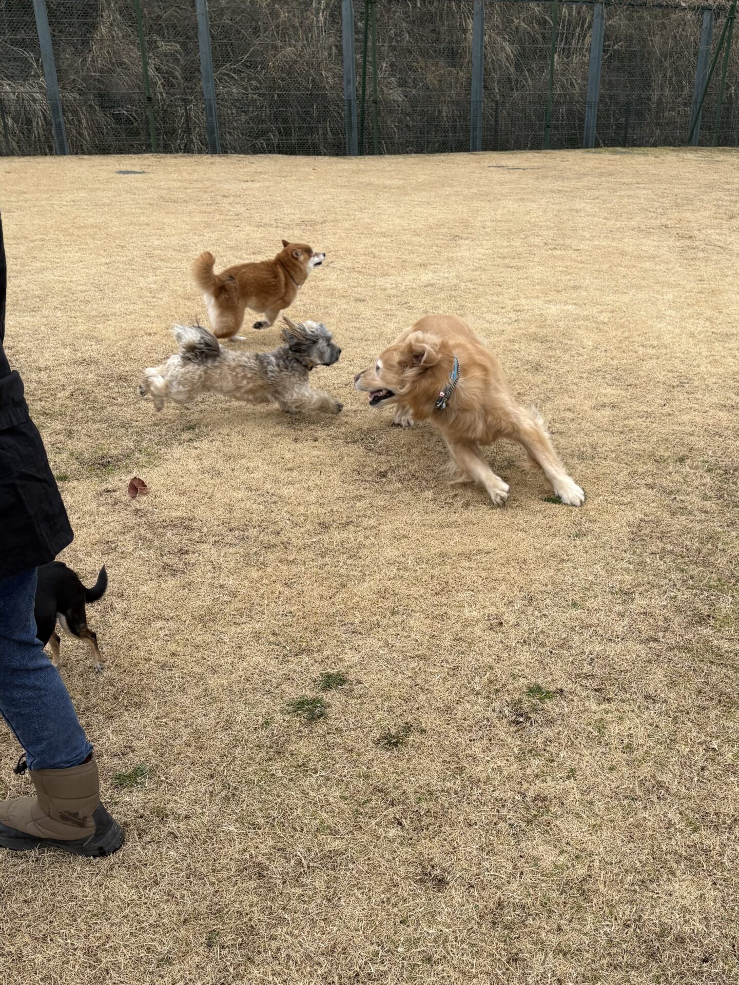 ファイル 8910-3.jpeg