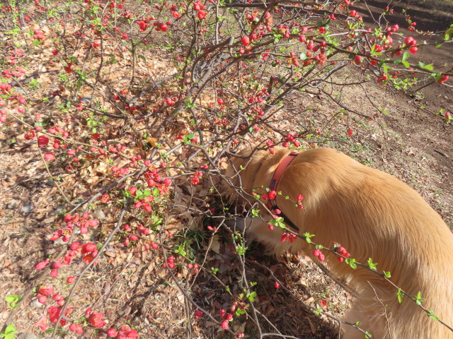 ファイル 8912-4.jpg