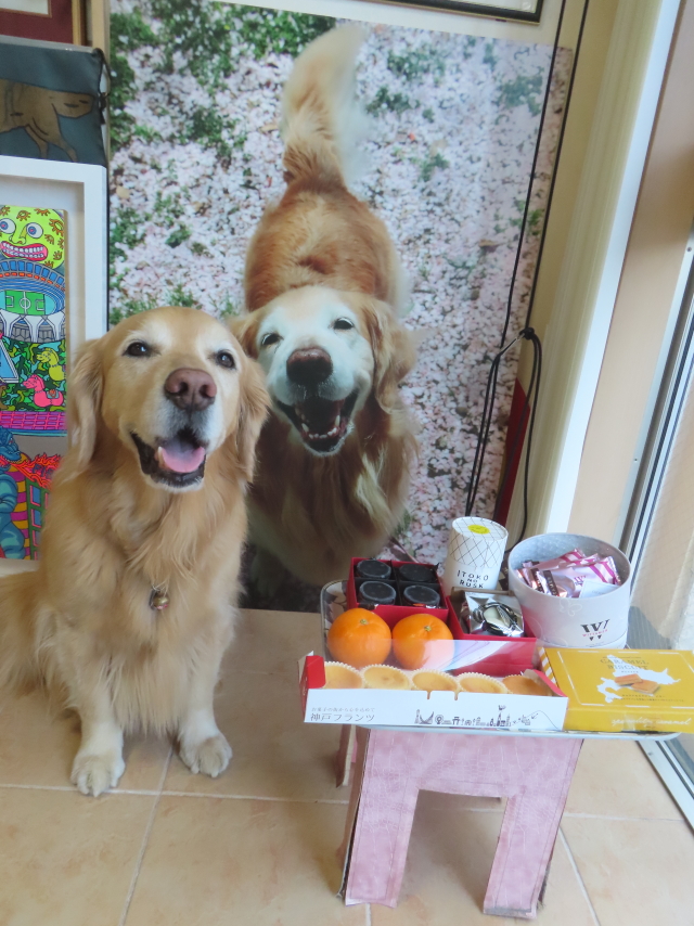 ファイル 8914-5.jpg