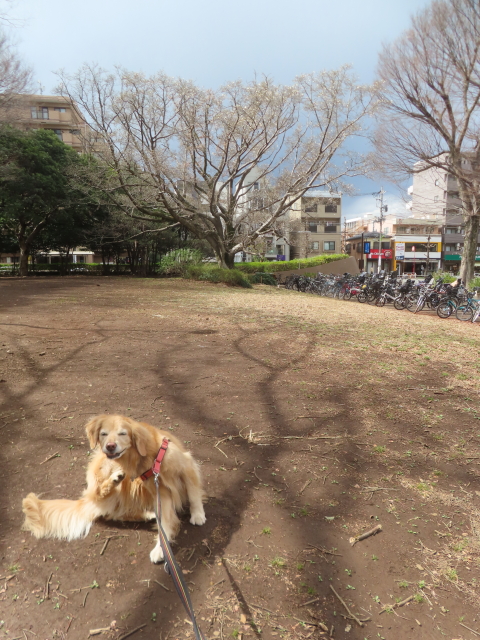 ファイル 8916-1.jpg