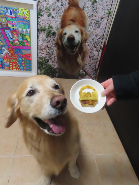 ファイル 8916-5.jpg