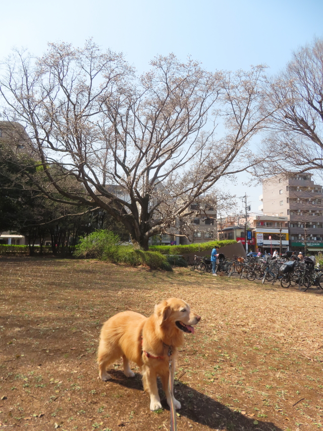 ファイル 8918-3.jpg