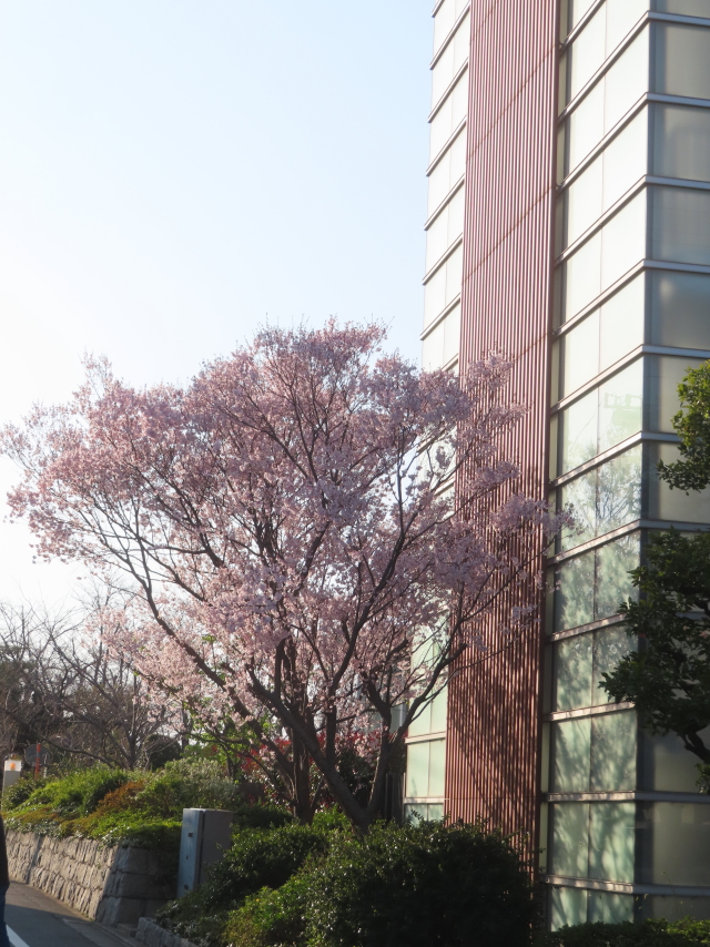 ファイル 8919-3.jpg