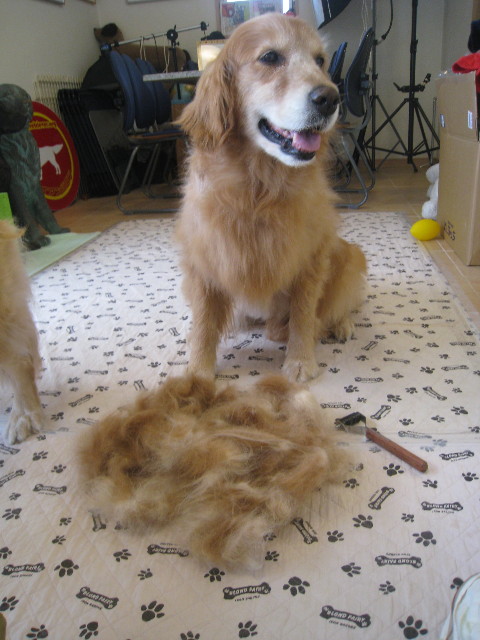 ファイル 892-1.jpg