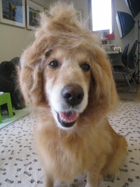 ファイル 892-2.jpg