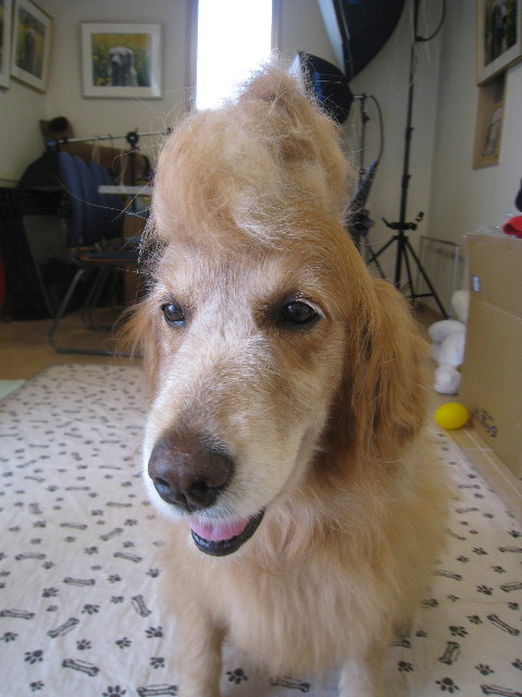 ファイル 892-3.jpg