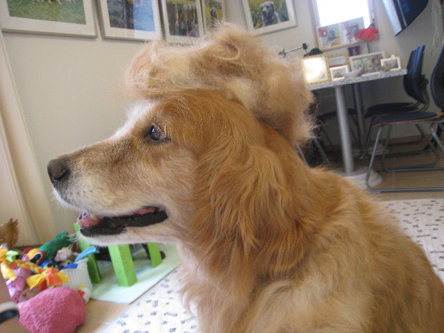 ファイル 892-4.jpg