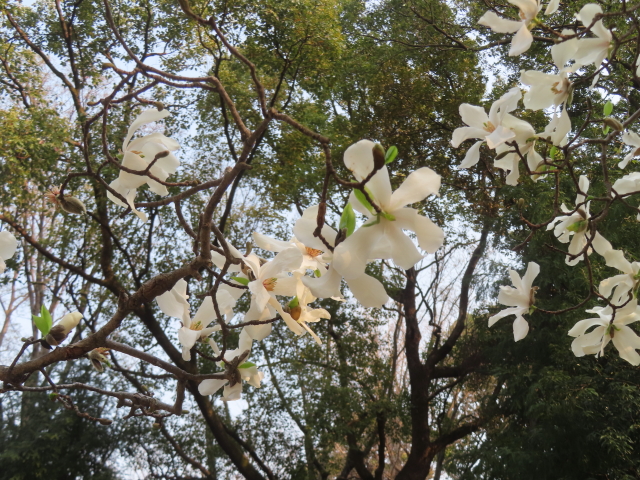 ファイル 8923-2.jpg