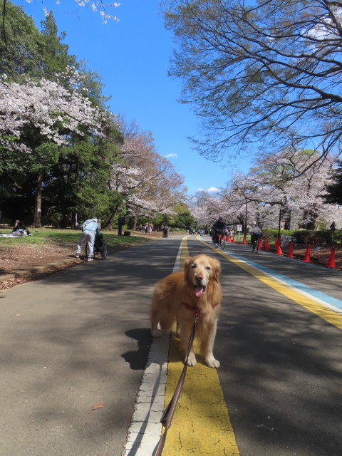 ファイル 8925-1.jpg