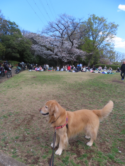 ファイル 8925-3.jpg