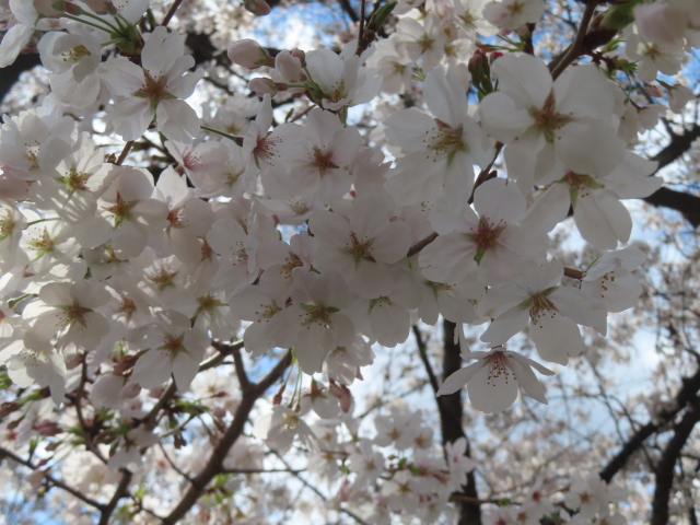 ファイル 8925-4.jpg