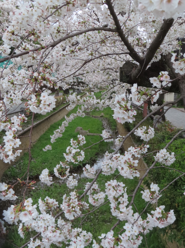 ファイル 8927-2.jpg