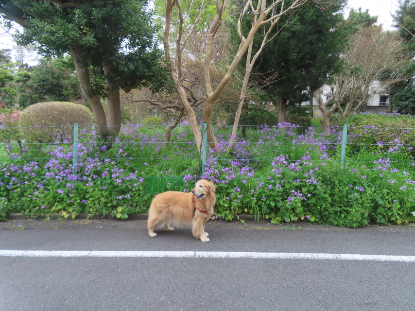 ファイル 8928-1.jpg