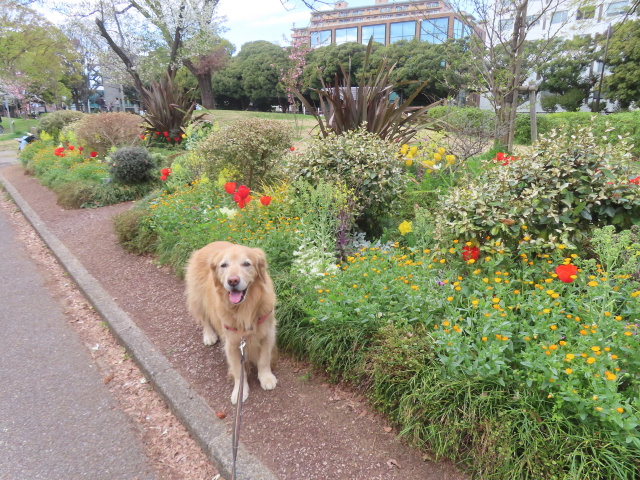 ファイル 8929-3.jpg