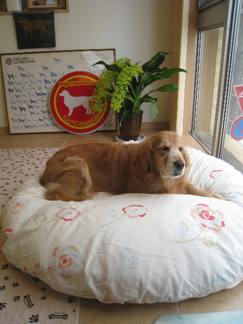 ファイル 893-4.jpg