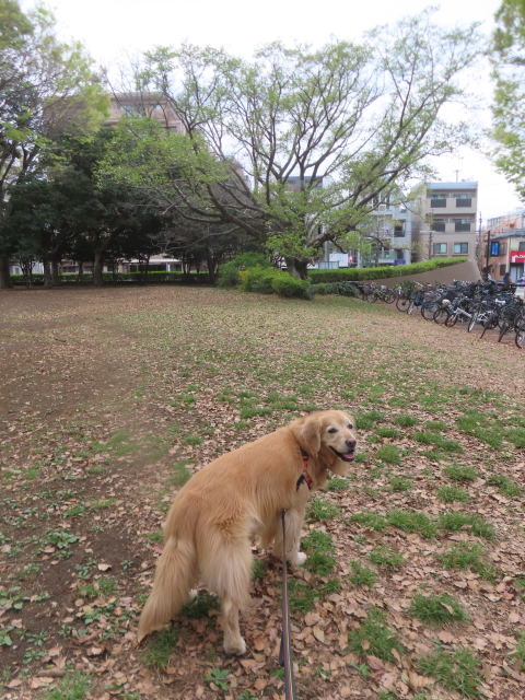 ファイル 8932-3.jpg