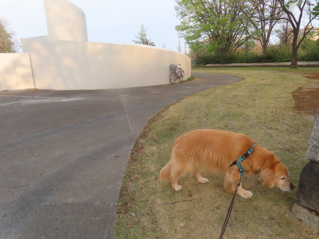 ファイル 8933-1.jpg