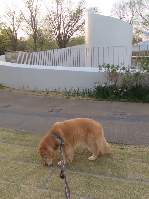 ファイル 8933-2.jpg