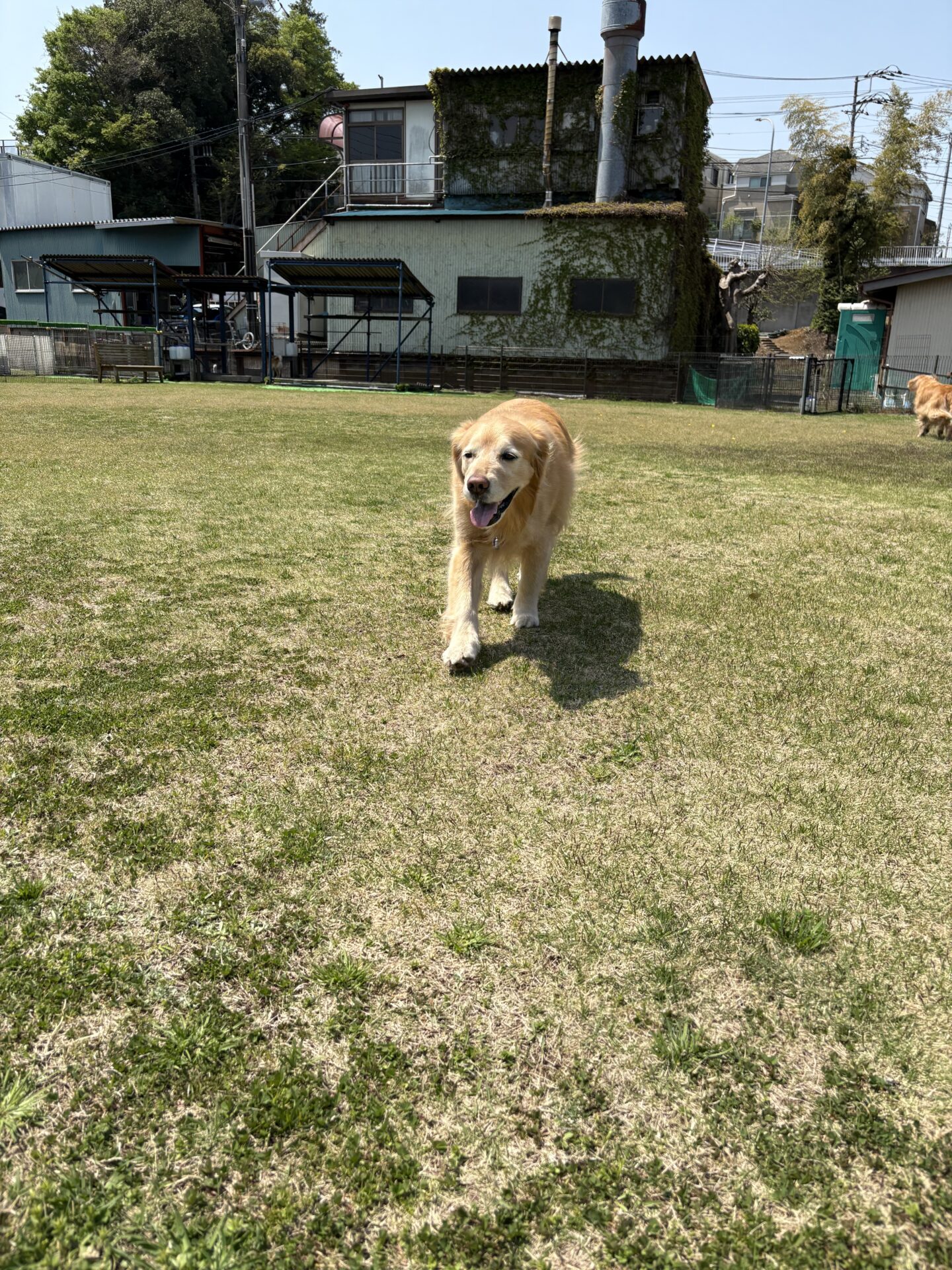 ファイル 8935-1.jpeg