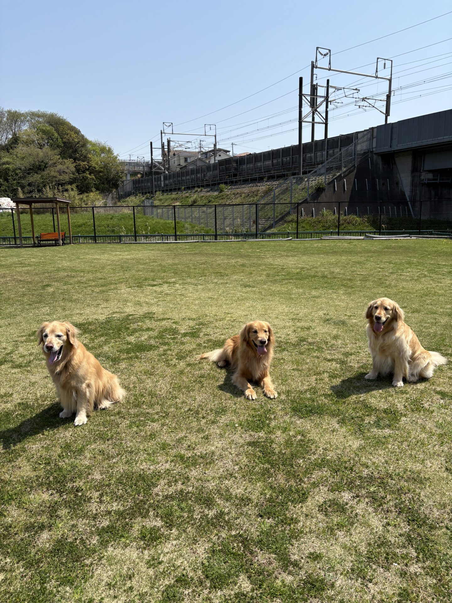 ファイル 8935-5.jpeg