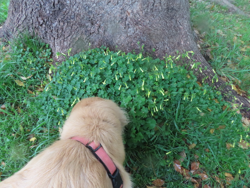 ファイル 8937-5.jpg