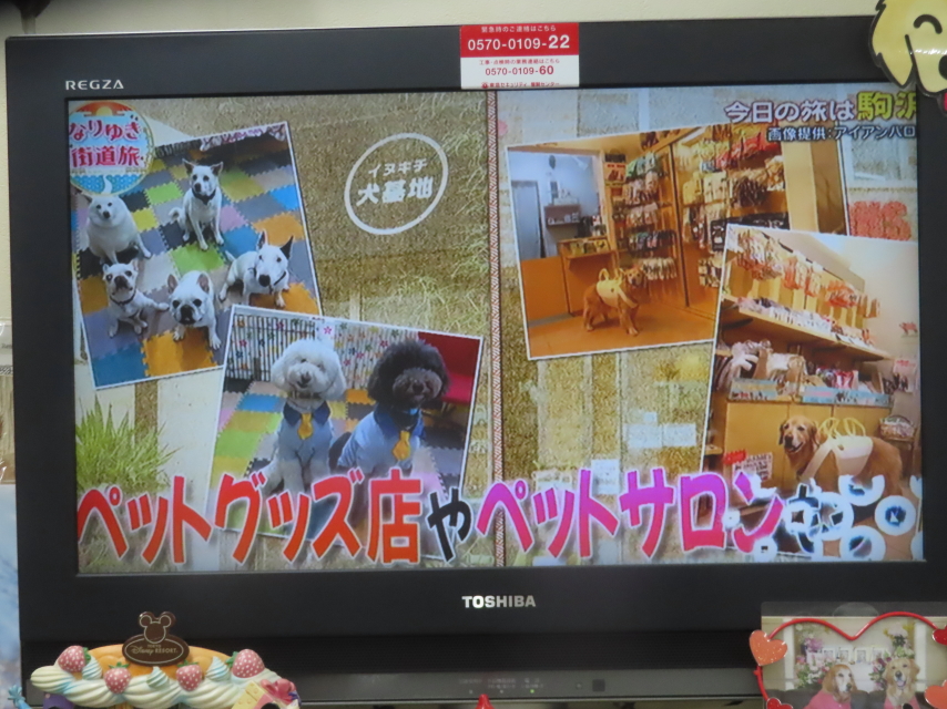 ファイル 8938-2.jpg