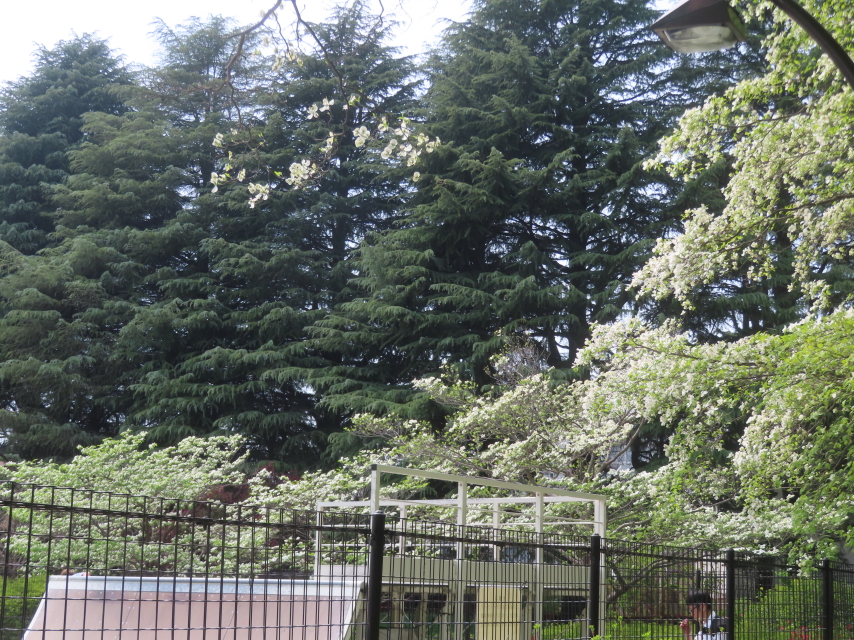 ファイル 8939-5.jpg