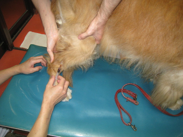 ファイル 894-2.jpg