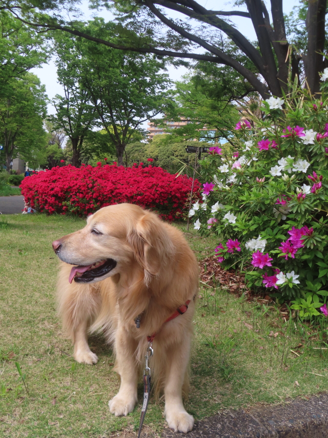 ファイル 8940-4.jpg